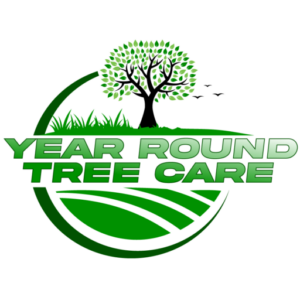 Year Round Tree Removal